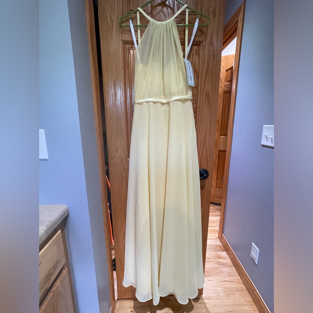 Christina Wu, bridesmaid dress,size 2